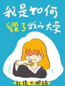 我是如何毁了我的大学