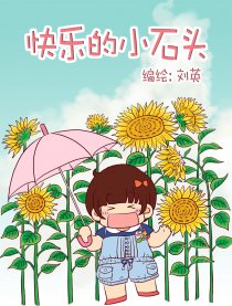 快乐的小石头