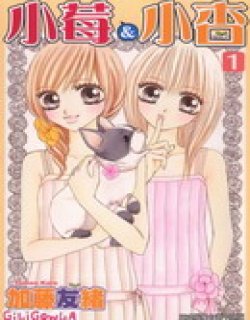 小莓&小杏