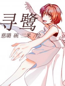 寻鹭
