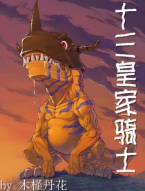 十三皇家骑士