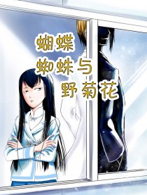 蝴蝶，蜘蛛与野菊花