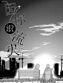 因你识流火