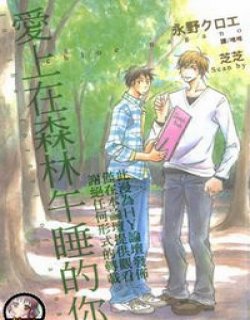 爱上在森林午睡的你(永野クロエ)