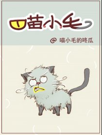 喵小毛