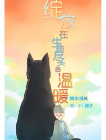 绽放在生命尽头的温暖