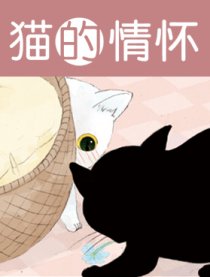 猫的情怀
