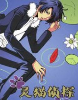 灵猫侦探