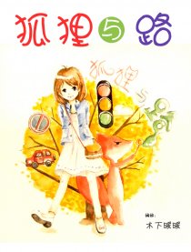 狐狸与路
