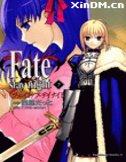 命运守护夜fate／stay night