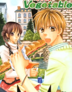 料理关系（新版)