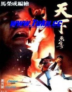 两极
