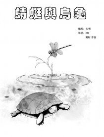 蜻蜓与乌龟