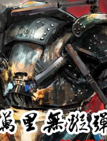 万里无踪弹