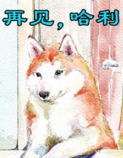 再见，哈利