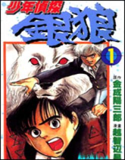 少年侦探银狼