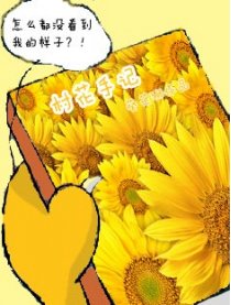 村花手记