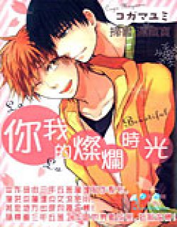 你我的灿烂时光