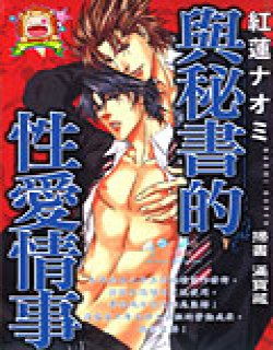 与秘书的x爱情事