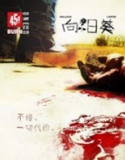 向日葵（451 comico）