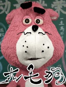 大毛狗