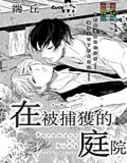 在被捕获的庭院