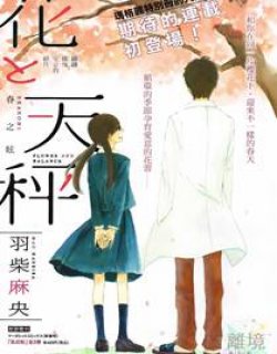 花与天枰