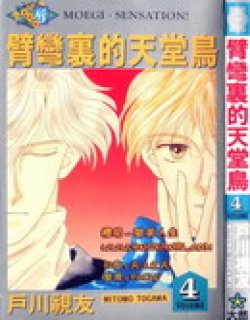 臂弯里的天堂鸟(户川视友)