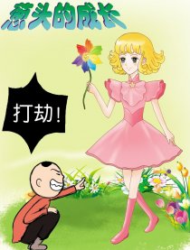 葱头的成长