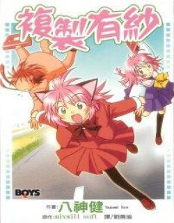 复制有纱(複製有紗)