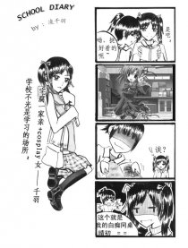 SCHOOL DIARY