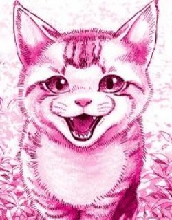 可爱的野猫