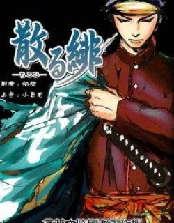 散绯