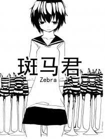 斑马君