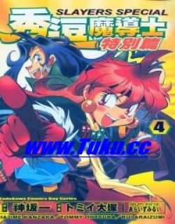 秀逗魔导士(魔剑美神Special)