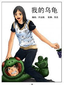 我的乌龟