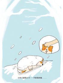 六年六班——卡片集