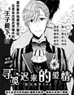 寻觅迟来的爱情