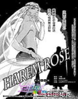 Harem Rose 禁断的玫瑰