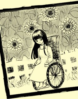 向日葵的梦