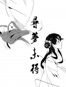 寻梦未得