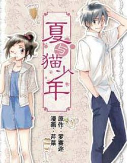 夏与猫少年