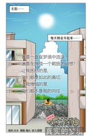 流浪狗之真实的梦境
