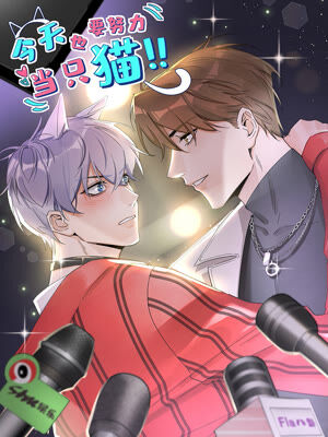 今天也要努力当只猫