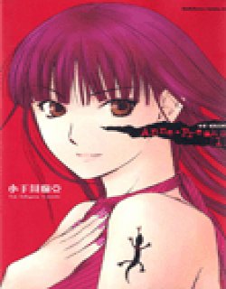 Anne Freaks／安妮·福瑞克斯