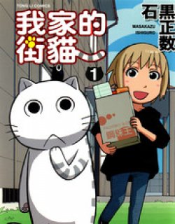 我家的街猫（木曜日的弗罗多）