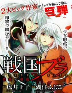 战国blood(战国之血蔷薇的契约)