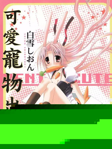 可爱宠物出租中