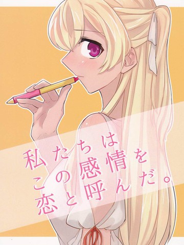 私たちはこの感情を恋と呼んだ