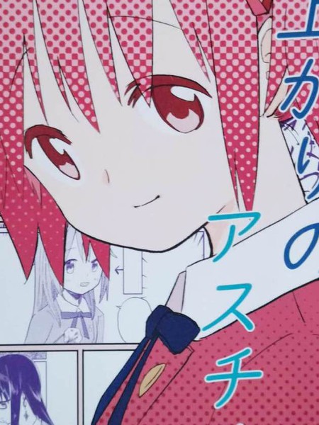 雨上がリのアスチルベ